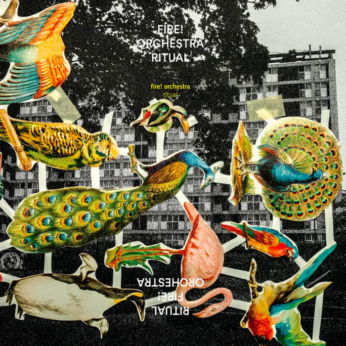 Ritual | Fire! Orchestra