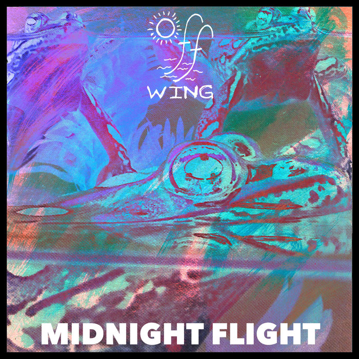 Midnight Flight Off Wing