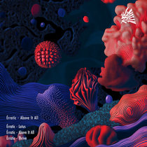Érratic — Above It All EP RCV016