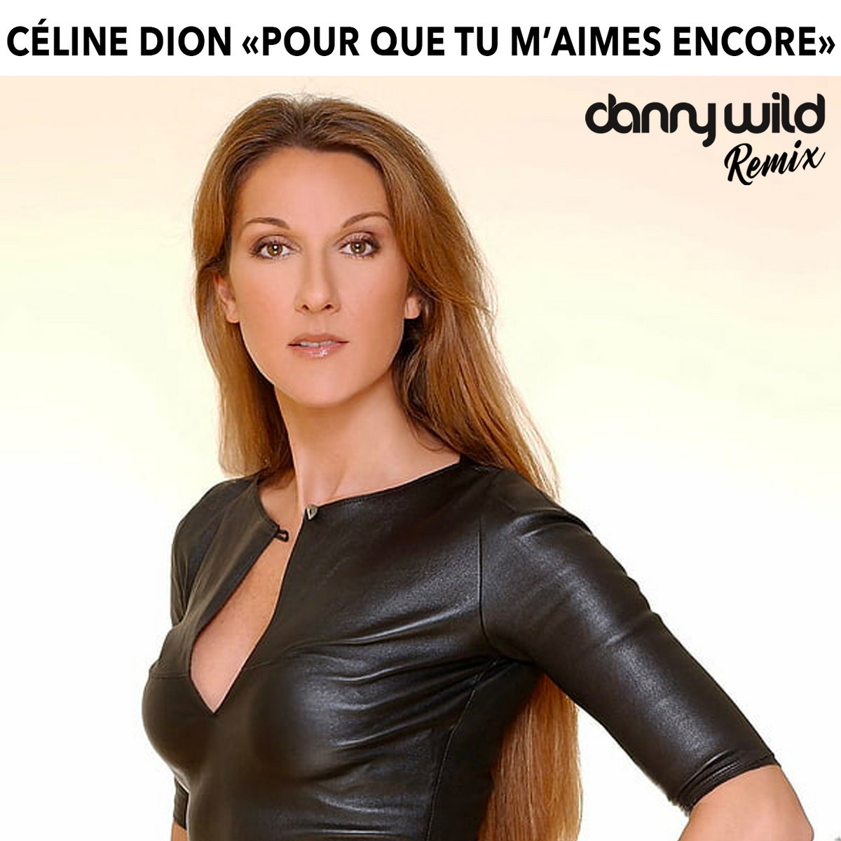 Céline Dion-Pour que tu m'aimes encore (Danny Wild Remix)