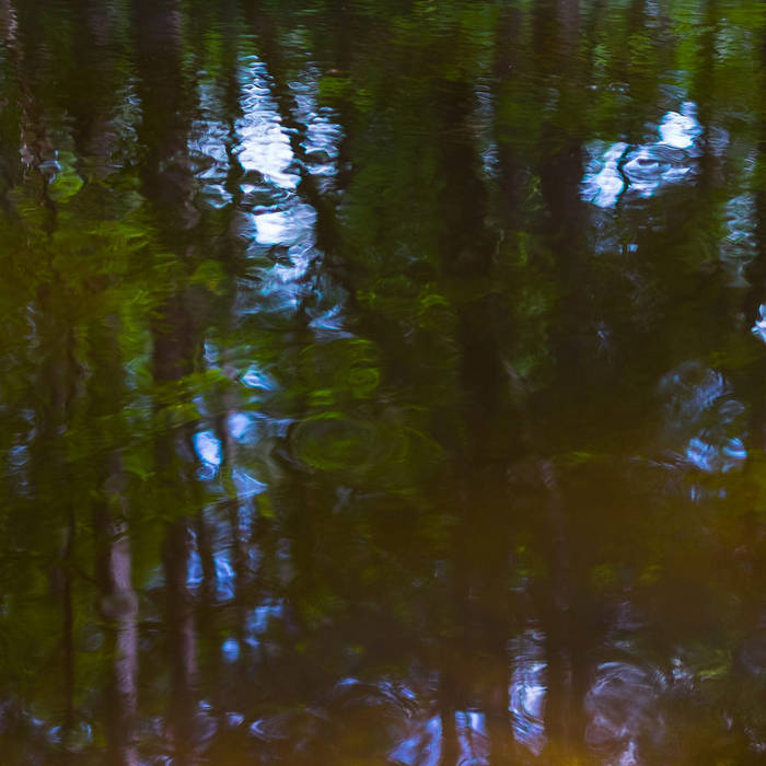 Kisatchie National Forest Richard May