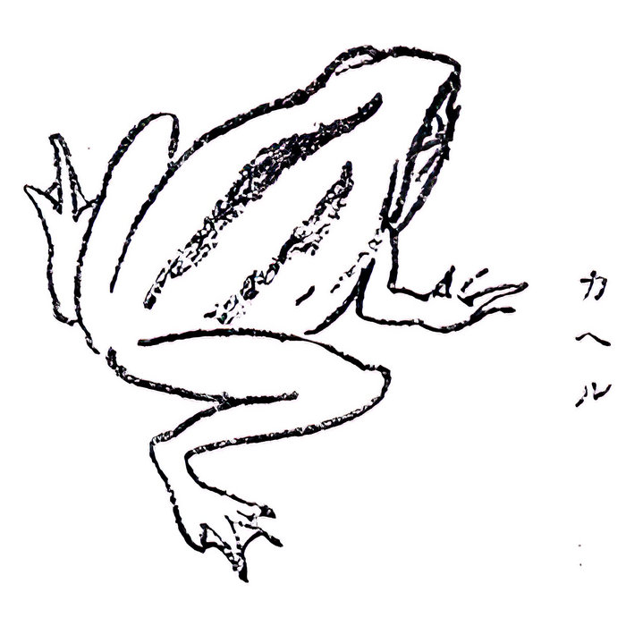 a3331638548_5.jpg