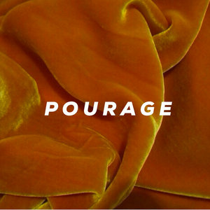 The Girl With The Pounds of Pourage cover