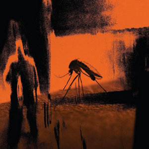 Mosquito / Faster Than The Radio cover