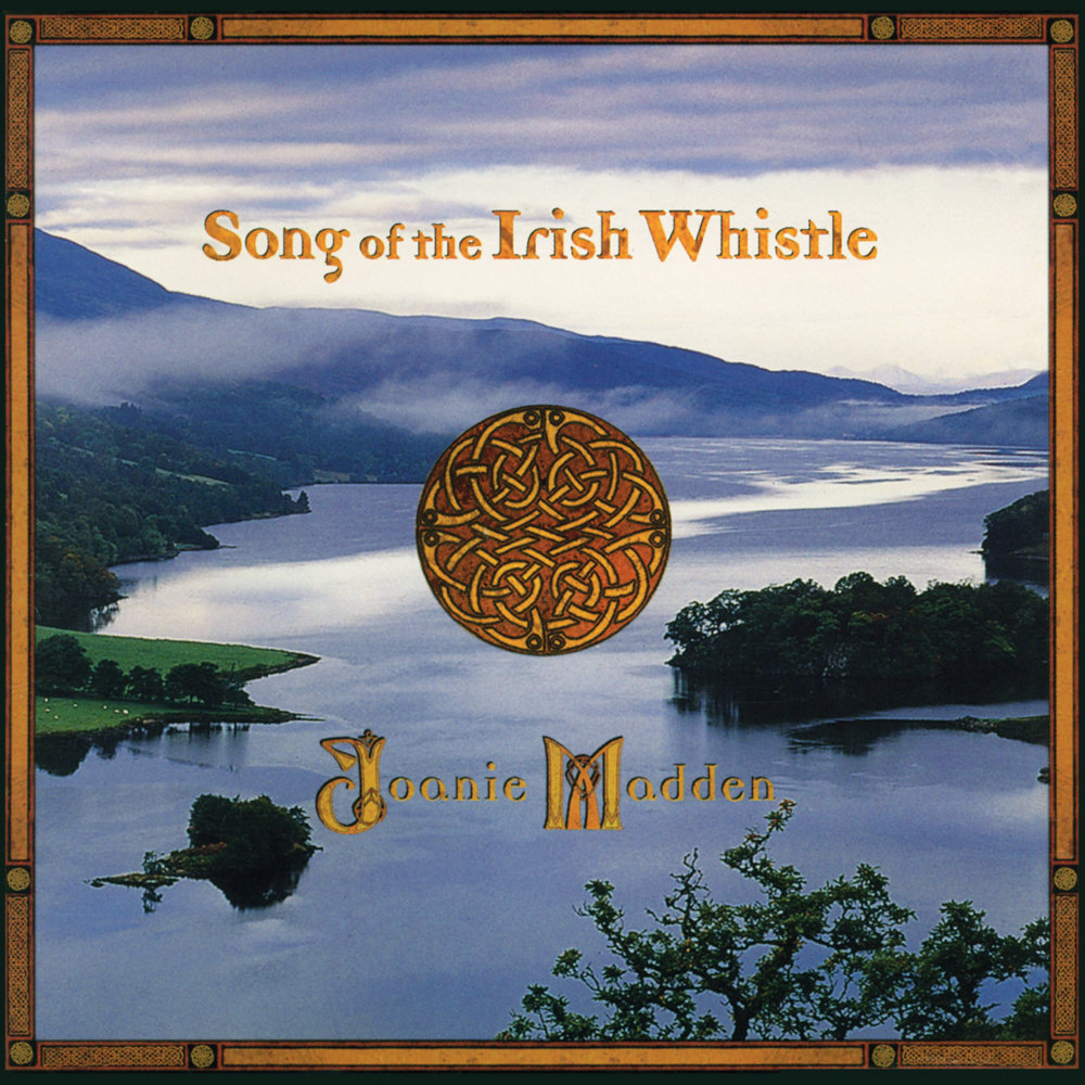 The top irish whistle