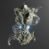 Sideral — Selva Floresta