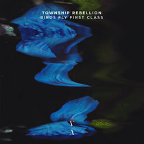 Township Rebellion — Birds Fly First Class
