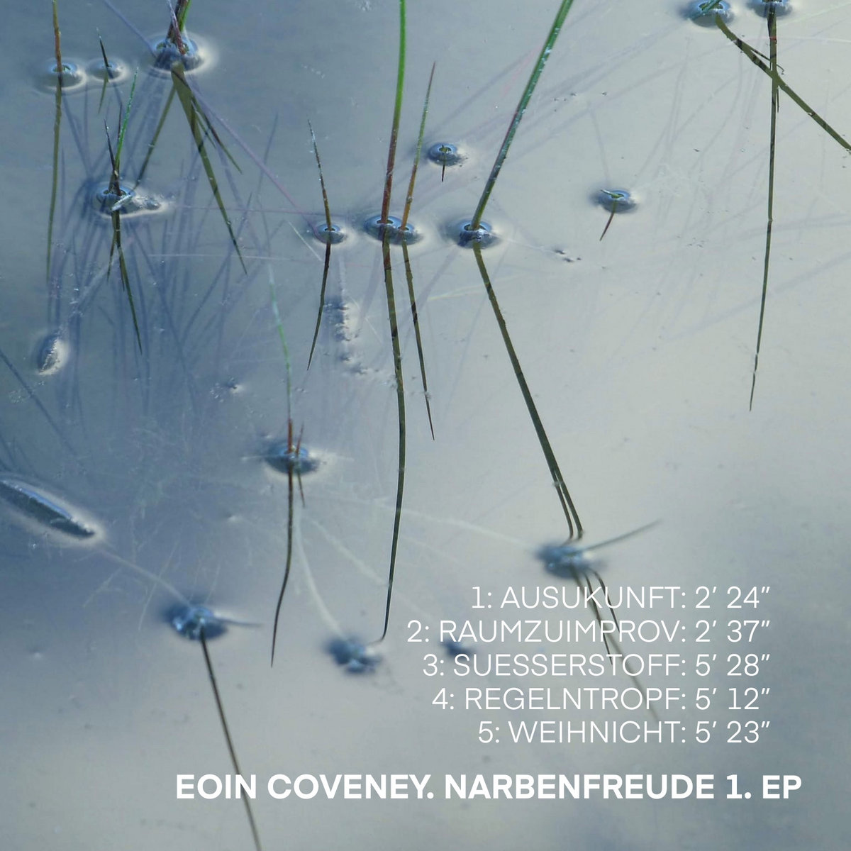 Narbenfreude 1. EP cover
