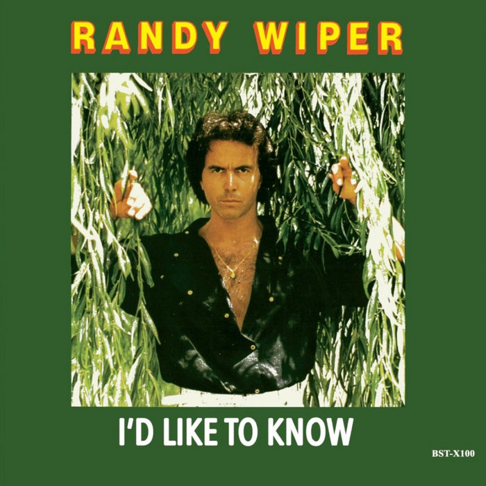 VIDEOTAPEMUSIC Hi,how are you? レア盤 I'd Like To Know [BST-X100] | RANDY WIPER | Best Record