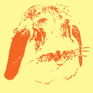 Little Orange Time Machine cover