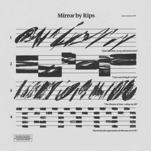 Mirror cover
