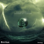 Chamber of Illusions LP