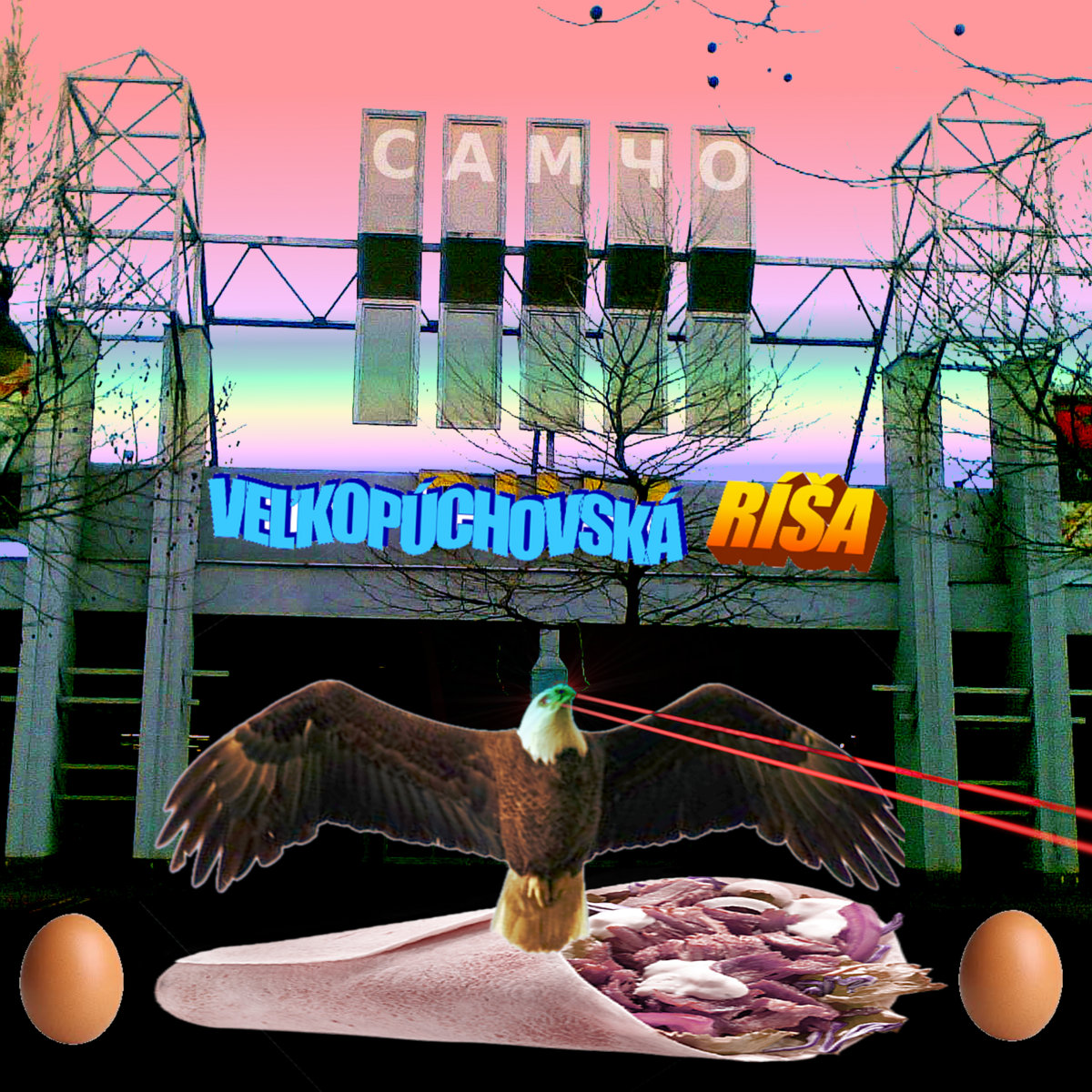 a3341003675_10.jpg