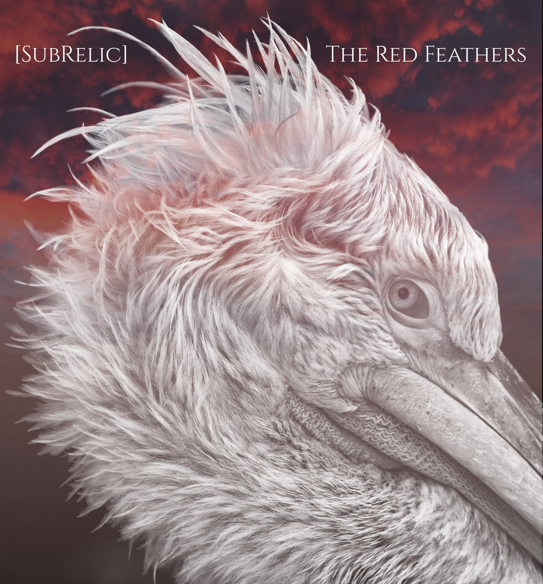 The Red Feathers cover