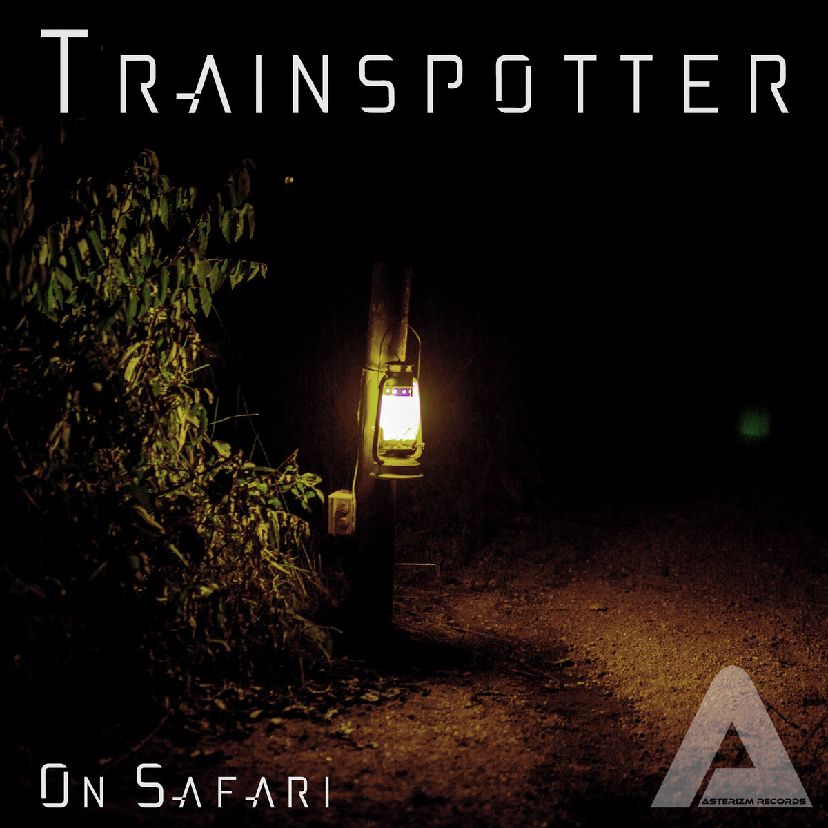 Trainspotter - On Safari cover