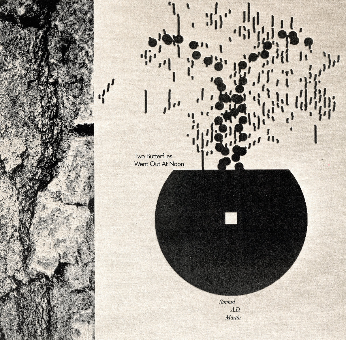 Two Butterflies Went Out At Noon by Samuel A.D. Martín