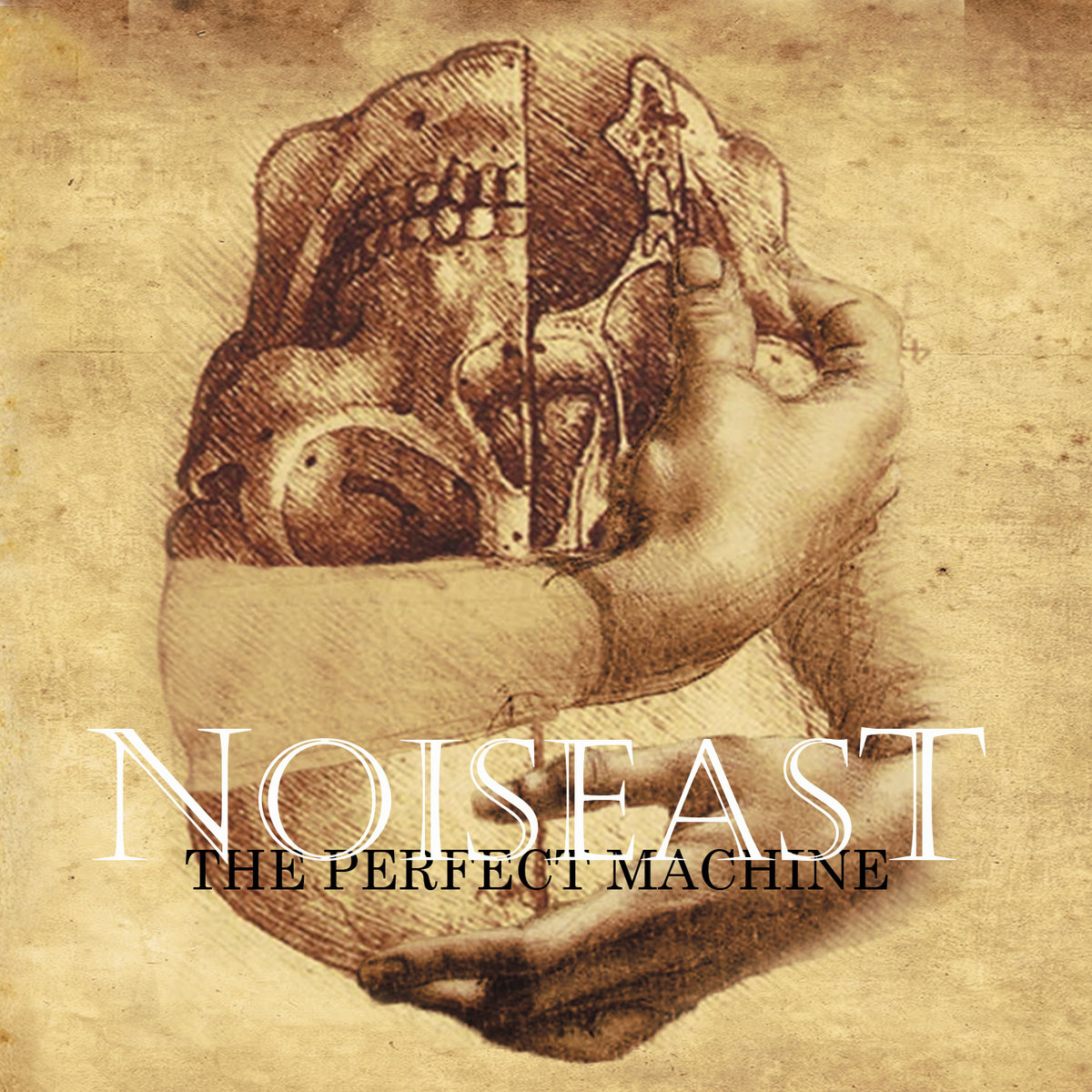 The Pefect Machine The perfect machine | Noiseast