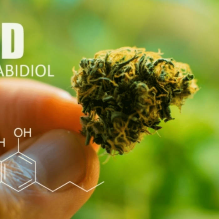 Radiant Ease CBD Gummies HELPS QUIT SMOKING ADDICTION Radiant Ease