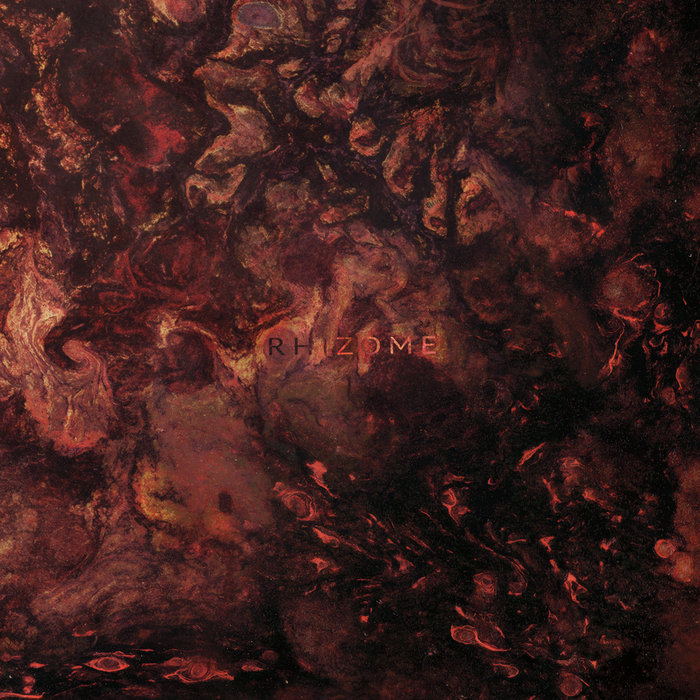 Rhizome | Plague Rider | Panurus Productions