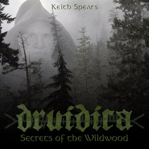 Druidica: Secrets of the Wildwood cover