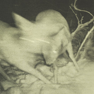 Hobbledehoy — Self Noiseshort snarl