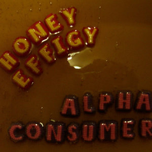 Honey Effigy/ Life Size Voodoo Doll cover