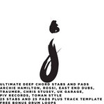 Ultimate Deep Chord Stabs & Pad Library [50+ Chord Samples] FREE BONUS Drumloops, Track Template Project