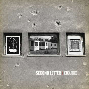 Album artwork for Cicatrix