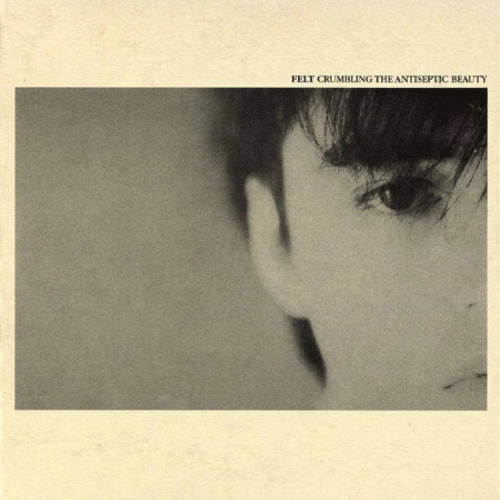 未開封　FELT　CRUMBLING THE ANTISEPTIC BEAUTY Crumbling The Antiseptic Beauty | Felt