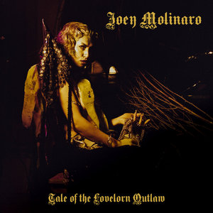 Tale of the Lovelorn Outlaw cover