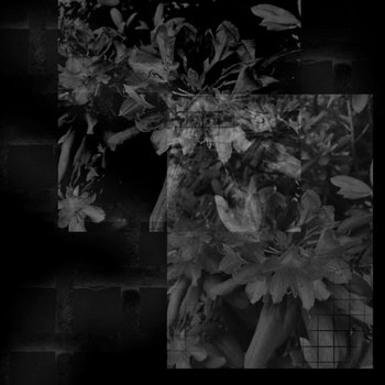 Music | Untitled Rhythms