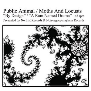 Public Animal / Moths And Locusts splitPublic Animal / Moths And Locusts cover