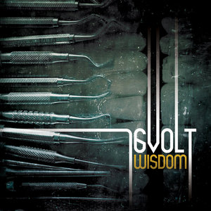 Wisdom cover