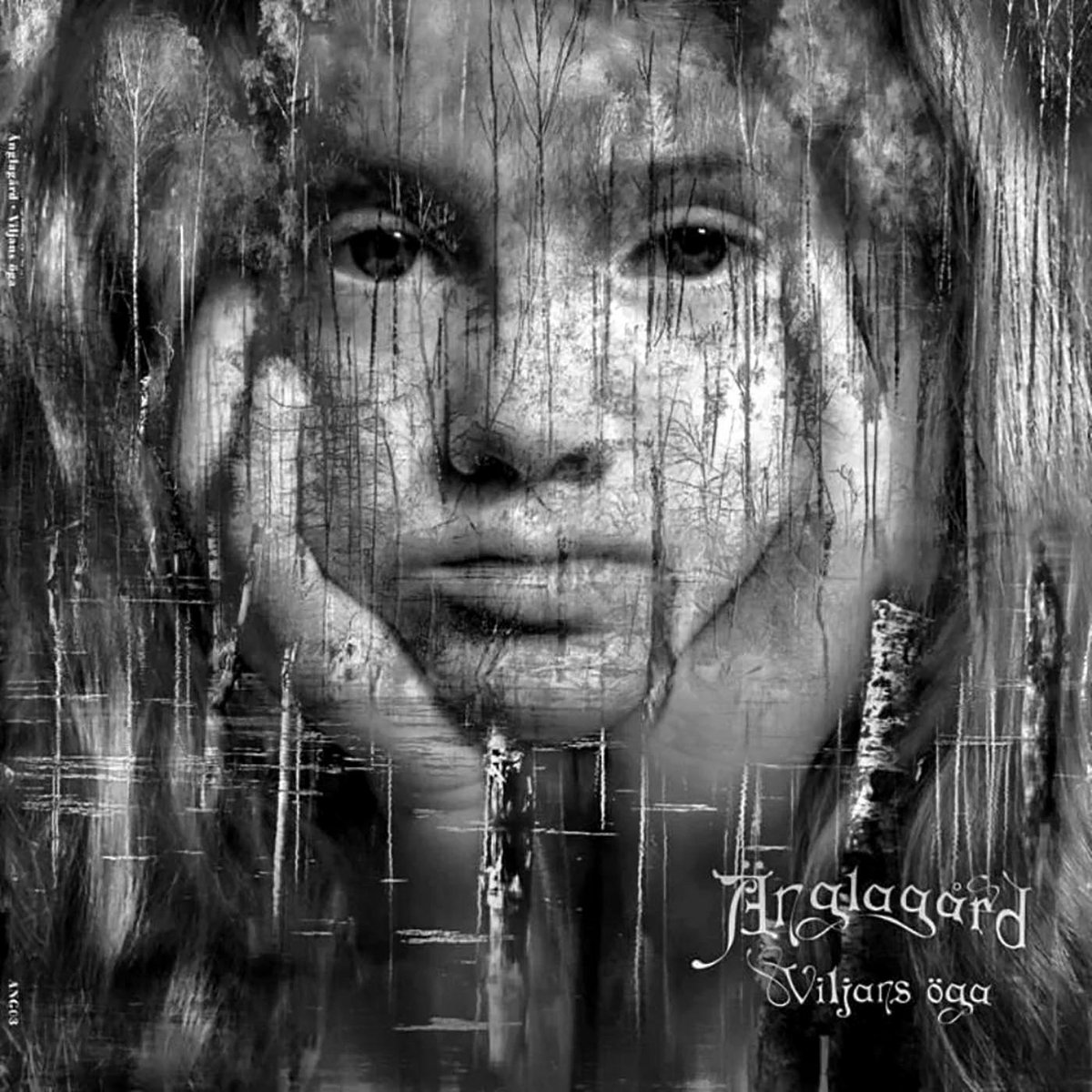 アングラガルド　Anglagard / Live Made in Norway Änglagård – Live: Made In Norway – Blu-ray (Album, Reissue