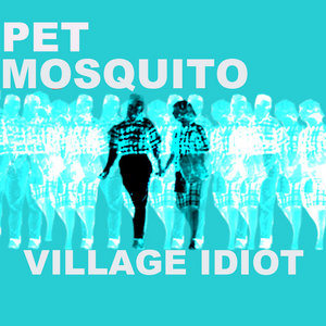 VILLAGE IDIOT (SINGLE) cover