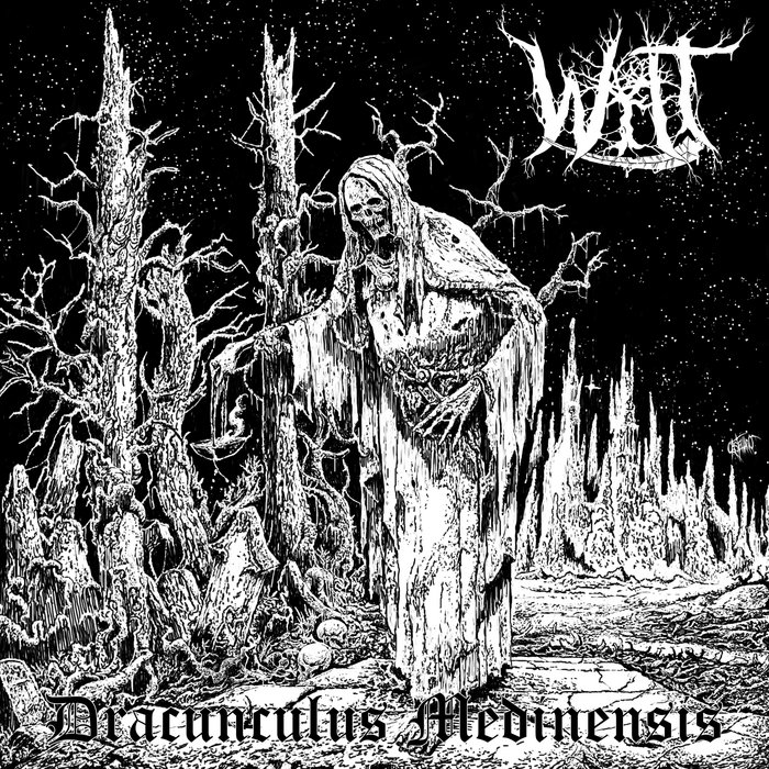 wiltingmusic.bandcamp.com