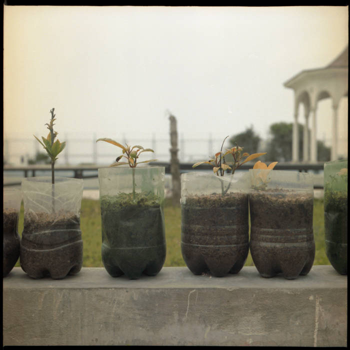 deakin's collection Bandcamp