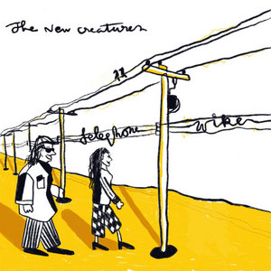 Telephone Wire cover