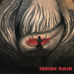 Inside Rain cover
