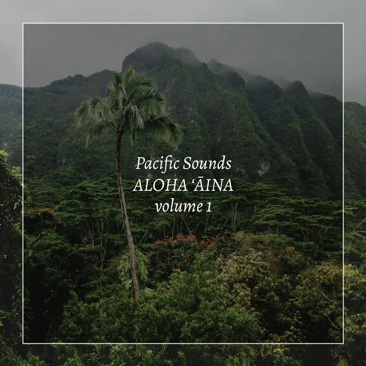 Aloha 'Aina, Volume 1: Field Recordings of Hawaii | Pacific