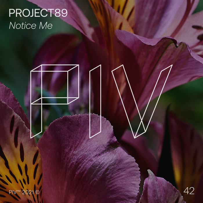 Project89 - Notice Me [PIV042] | Project89 | PIV
