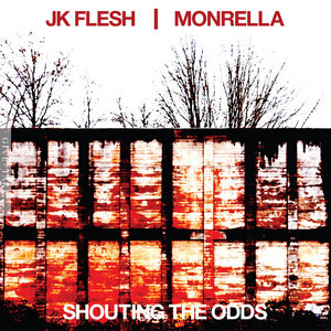 SHOUTING THE ODDSJK FLESH / MONRELLA cover