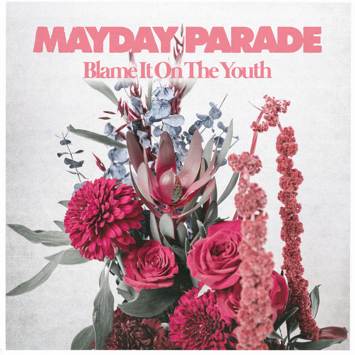 Blame It On The Youth | Mayday Parade