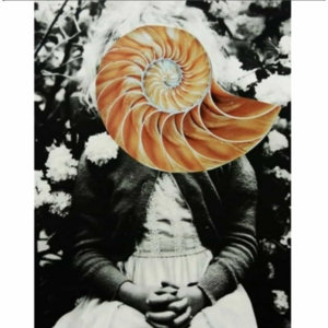 Spiral mind cover