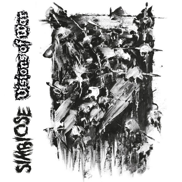Visions of War / Simbiose split 7
