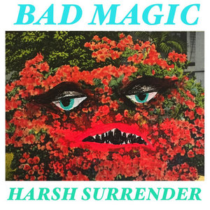 Harsh Surrender cover