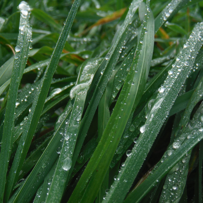 Tally 7.2 crack download Tally 7.2 crack download