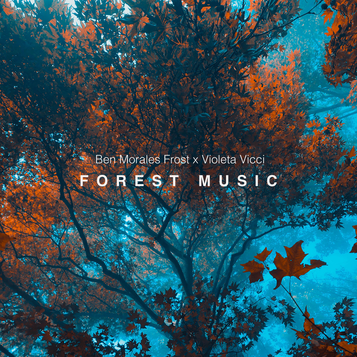 Forest Music | Ben Morales Frost, Violeta Vicci | Violeta Vicci