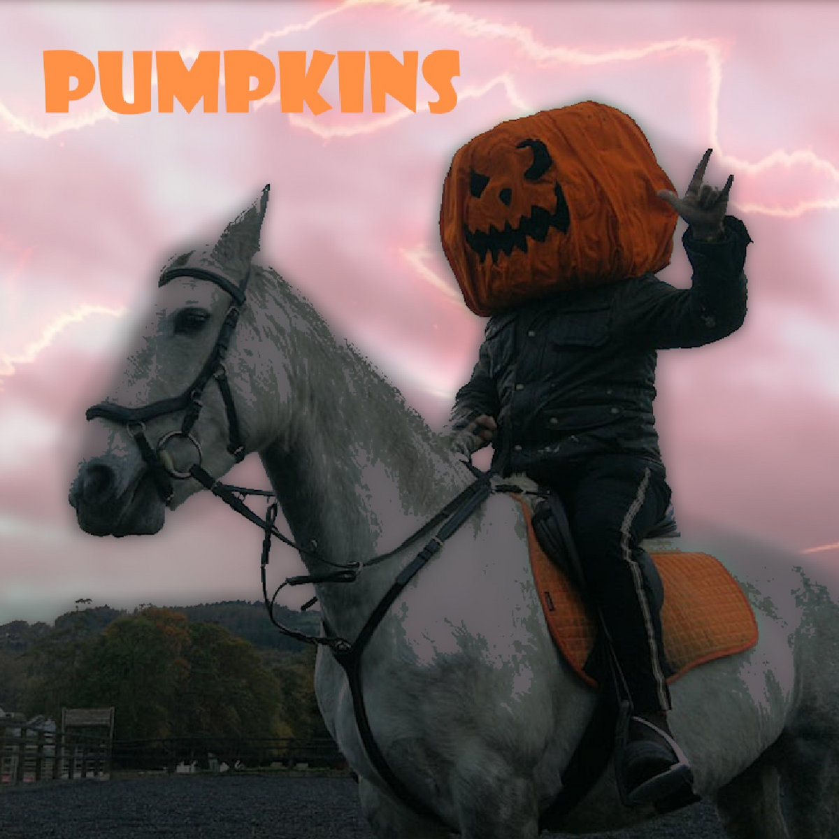 Pumpkins cover