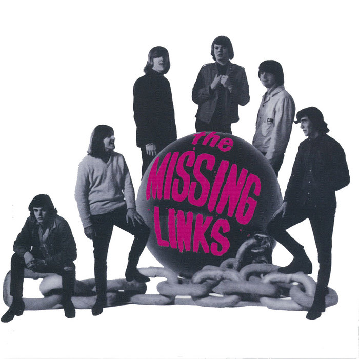 Driving You Insane | The Missing Links | Half A Cow Records